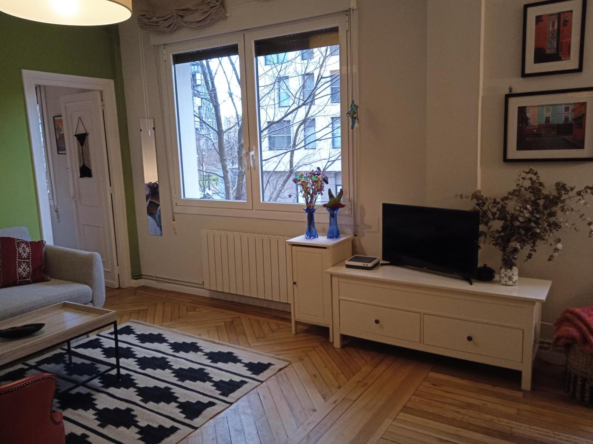 Apartamento Guggenheim Centrico Y Confortable Μπιλμπάο Εξωτερικό φωτογραφία