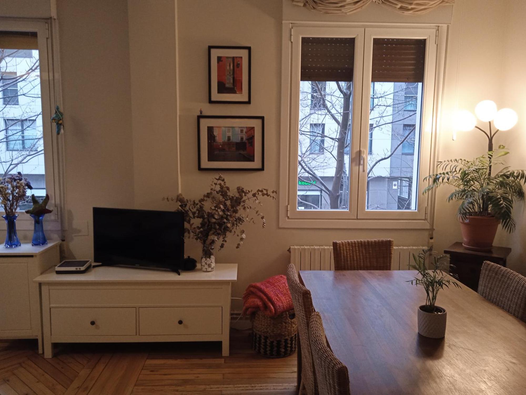 Apartamento Guggenheim Centrico Y Confortable Μπιλμπάο Εξωτερικό φωτογραφία